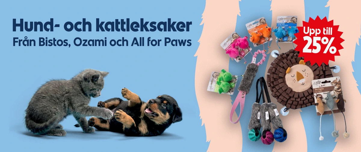 Kärlek och omsorg för din bästa vän
